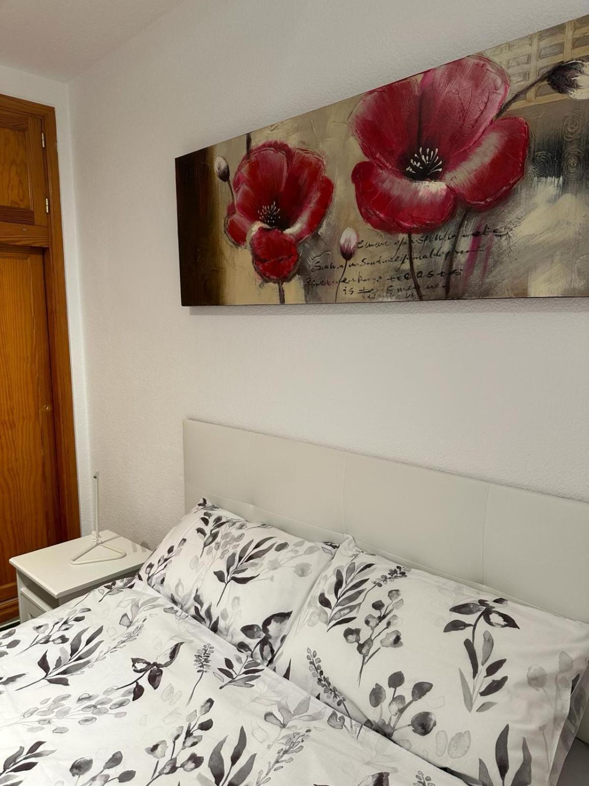 Apartament Surycan *